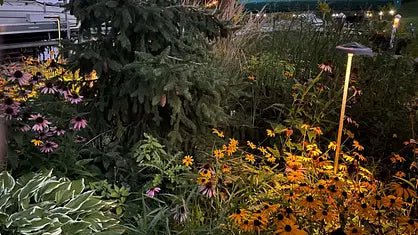 Everything You Need to Know About LED Solar Lights - Featured Image